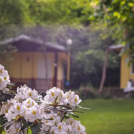 게스트하우스 Lovely Bungalow In Kamena Village